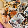 مانگا انگلیسی هایکیو Haikyuu