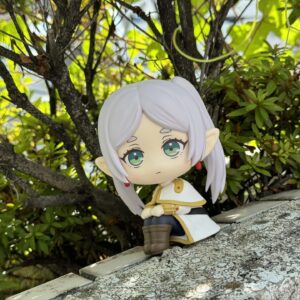 فیگور لوک آپ فریرن